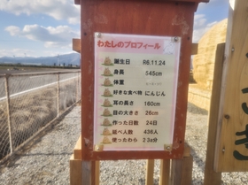 1000000260.jpg