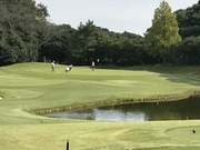2016-10-19 11.21.23.jpg