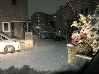 IMG_0614.JPG