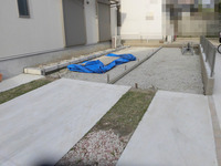CIMG3720-1.jpg